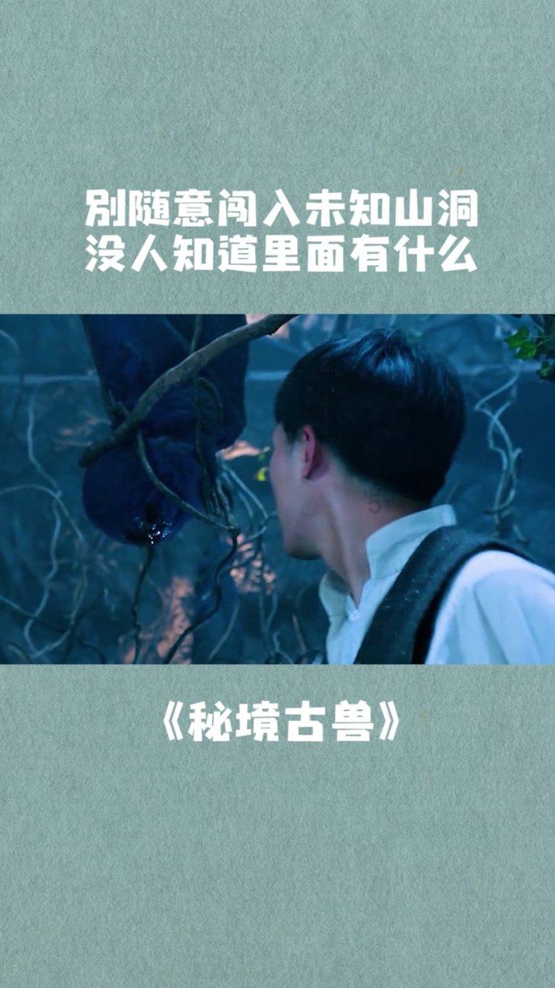 火龙冒险