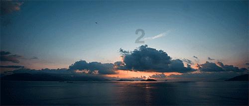 拯救枯树