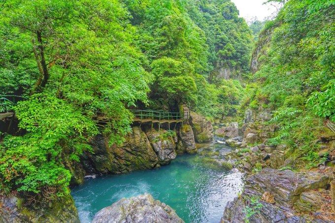 智能问答网页佛菩萨放在寺庙还是山上好?,精准解答你的问题